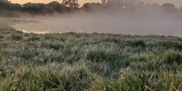 Tempo firme predomina em MS, mas manhã segue fria em algumas regiões