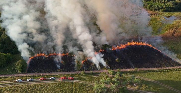 Imasul e Corpo de Bombeiros reforçam prevenção a incêndios com manejo integrado do fogo no Pantanal