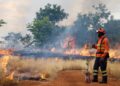 Bombeiros de MS se preparam para temporada de incêndios florestais com treinamentos e ações em campo