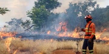 Bombeiros de MS se preparam para temporada de incêndios florestais com treinamentos e ações em campo
