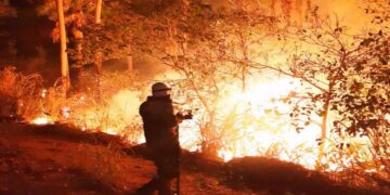 Pantanal tem menor área queimada em 41 anos de monitoramento