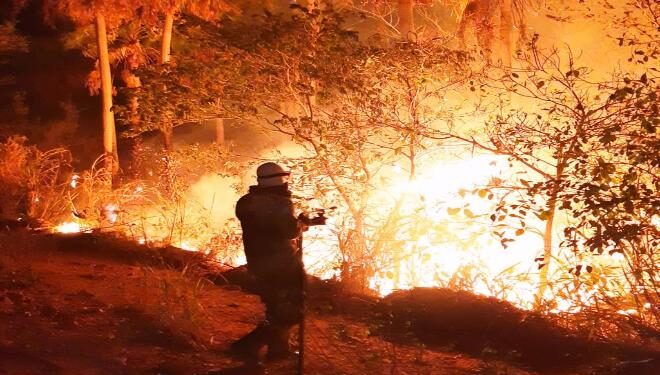 Pantanal tem menor área queimada em 41 anos de monitoramento