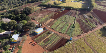 Vereador Magno Almeida solicita recursos federais para compra de estufas agrícolas e triturador em apoio a produtores de Costa Rica