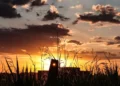 Alerta Climático: El Niño de forte intensidade se consolida e promete ondas de calor históricas a partir de agosto em MS