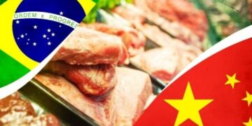 Pecuária em Alerta: Fim da cota anual da China para carne brasileira impõe taxa de 55% e força frigoríficos a frearem abates