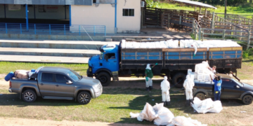 Sustentabilidade no Campo: Mutirão ecológico em Alcinópolis recolhe mais de 5,6 toneladas de embalagens de defensivos agrícolas