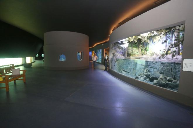 Visitas ao Bioparque Pantanal começam dia 30 com públicos de instituições de ensino e pesquisa