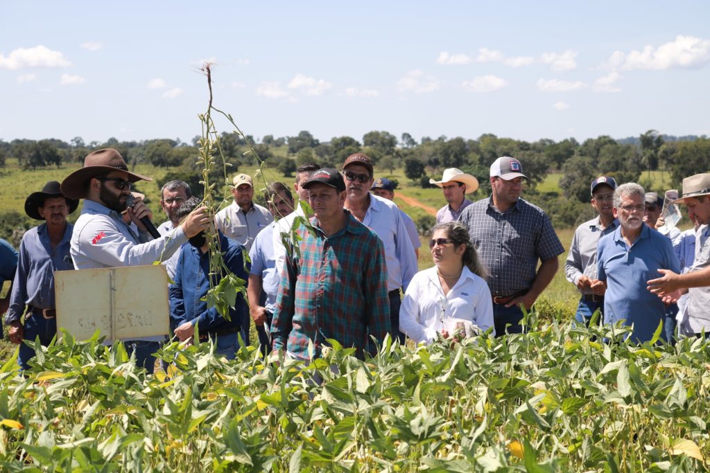 Dia de Campo ILP  tem recorde de público
