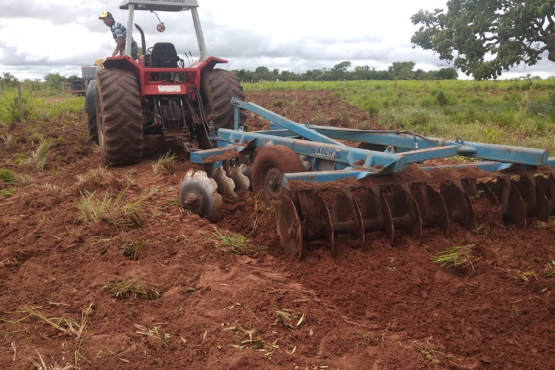 Prefeitura realiza plantio de sorgo no assentamento Boa Vista