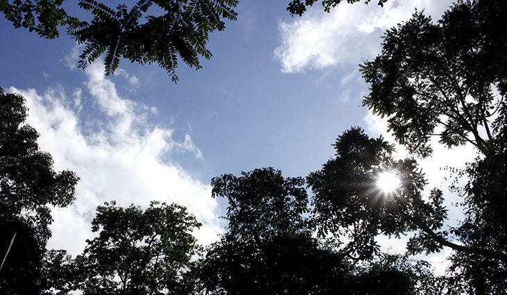 Última semana de março terá sol, pancadas de chuva e nova frente fria em MS