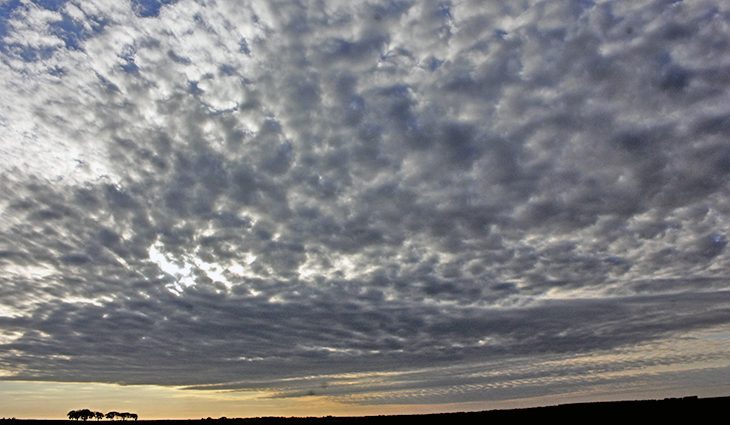 Tempo instável: semana terá sol, chuvas irregulares e máximas de 33°C no Estado