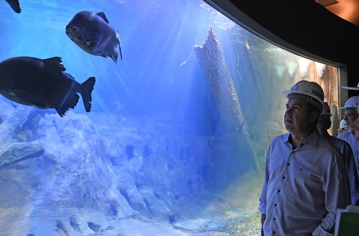 “Bioparque Pantanal” será inaugurado na próxima segunda-feira, anuncia Riedel