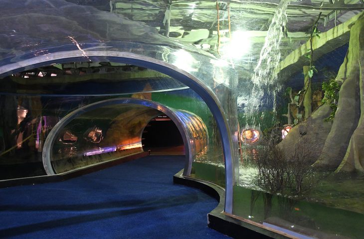 “Bioparque Pantanal” será entregue à população na segunda-feira, dia 28