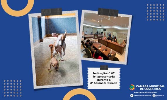 Criação da Coordenadoria do Bem-Estar animal é sugerida por Comissão Permanente de Saúde da Câmara