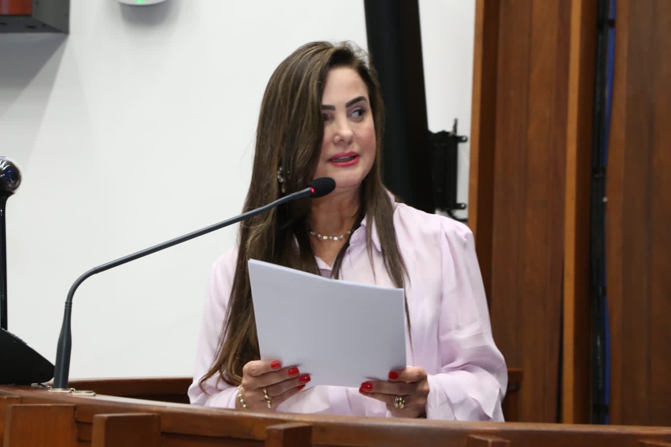 Mara Caseiro solicita construção de duas pontes de concreto em Paraíso das Águas
