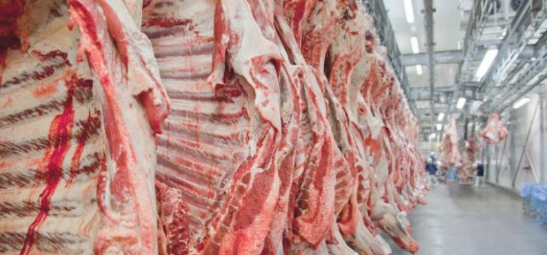 Ministra Tereza Cristina anuncia que Brasil já pode exportar carne para o Canadá
