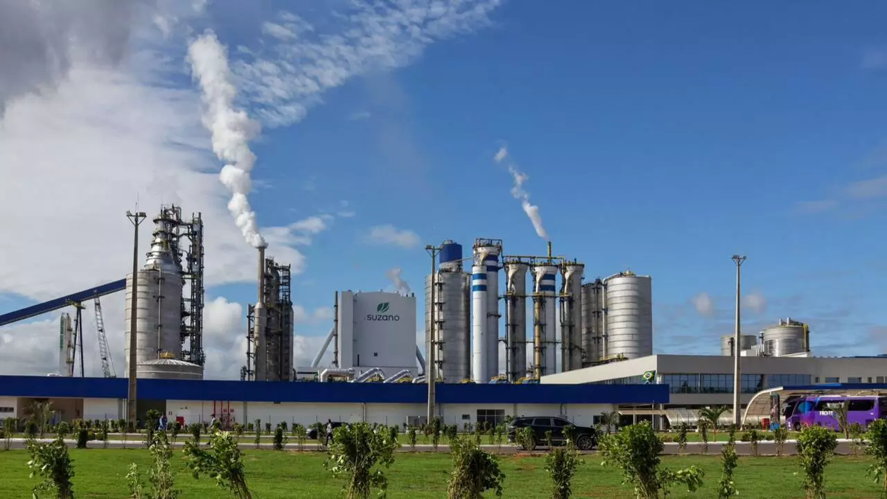 Em Ribas do Rio Pardo, produtora de celulose e UEMS oferecem 40 vagas para curso de Tecnólogo em Silvicultura