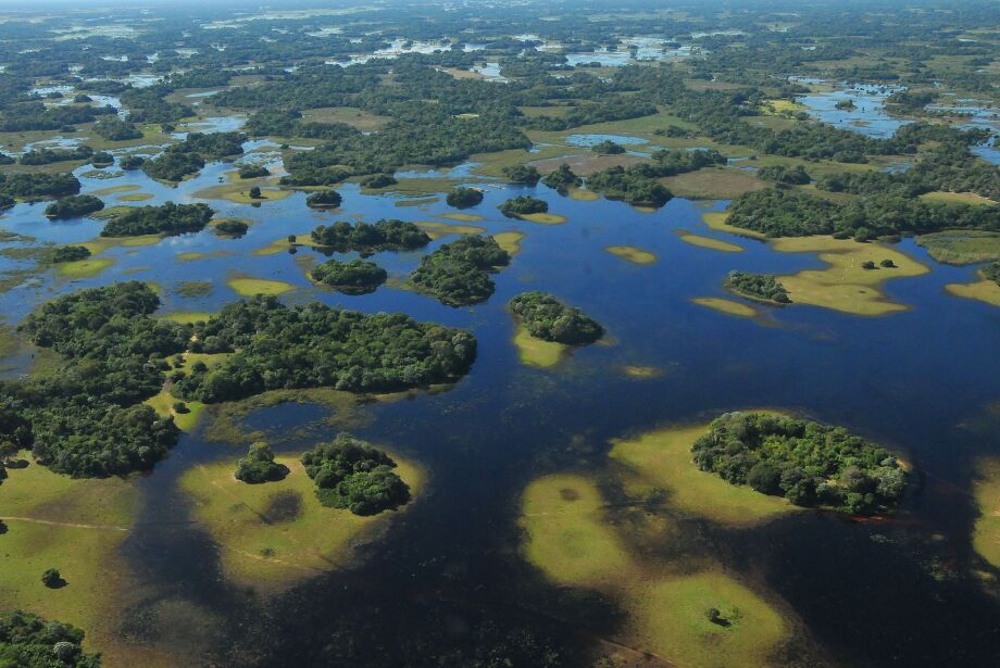 Pantanal sul-mato-grossense pode se tornar patrimônio nacional