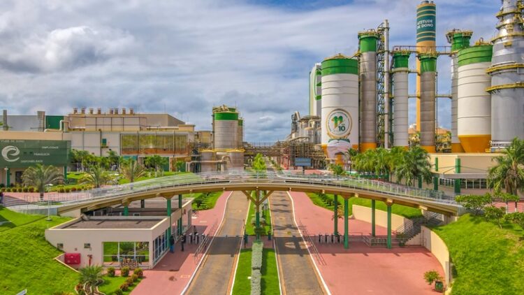 Empresa de celulose Eldorado abre seleção para profissionais com deficiência
