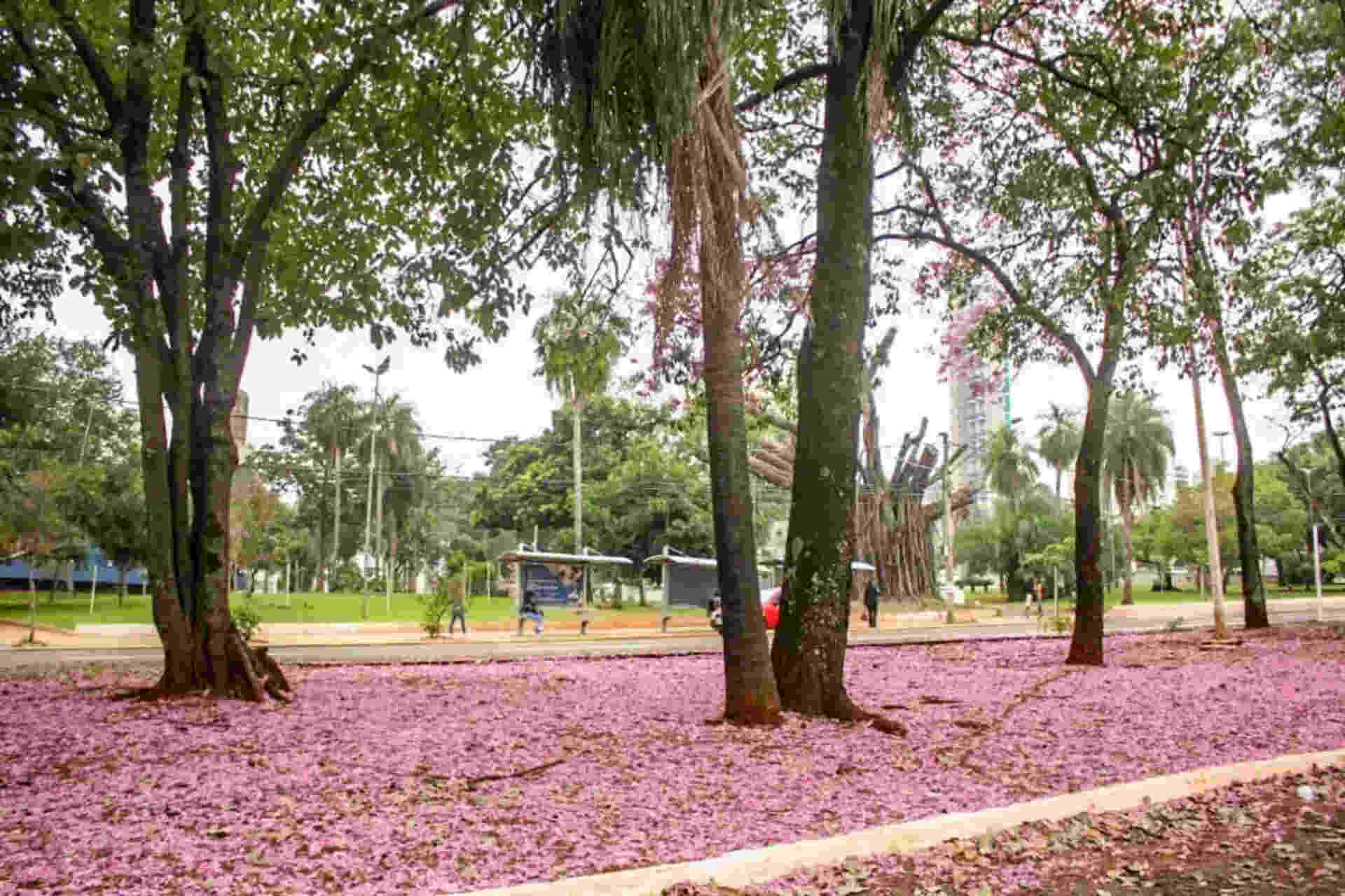Outono em MS deve registrar menos chuvas e pode ter ondas de calor