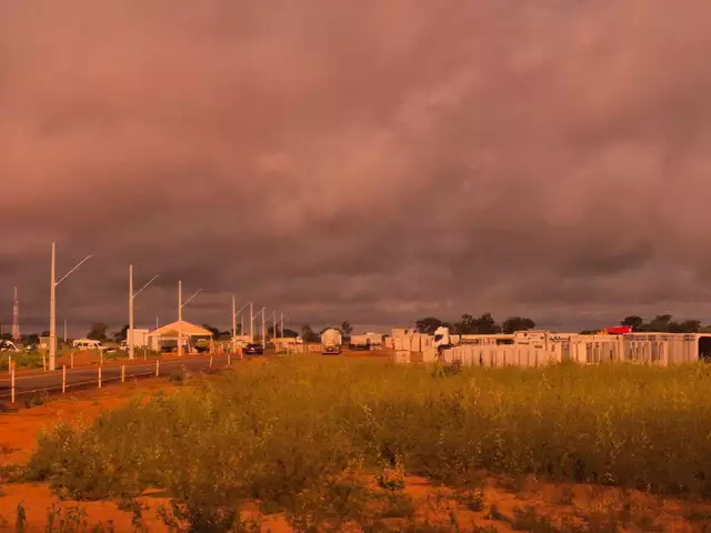 Área de eucaliptos da Arauco equivale a quase metade do tamanho de Campo Grande