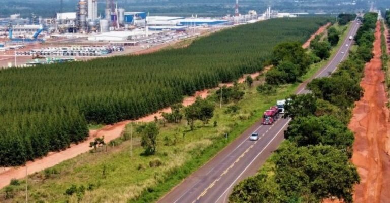 Governo cria oficialmente o “Vale da Celulose” com 11 municípios do MS