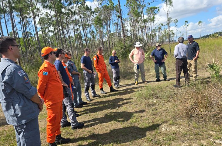 Estratégias norte-americanas de prevenção a incêndios florestais poderão ser implementadas em MS
