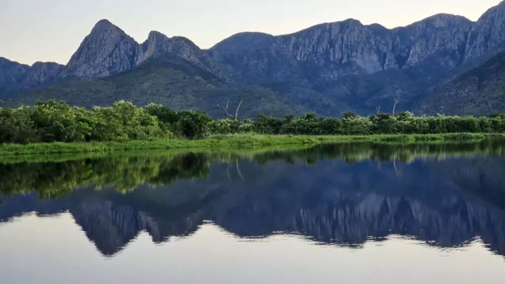 Passada seca histórica, Pantanal revive com água e caminha para cheia