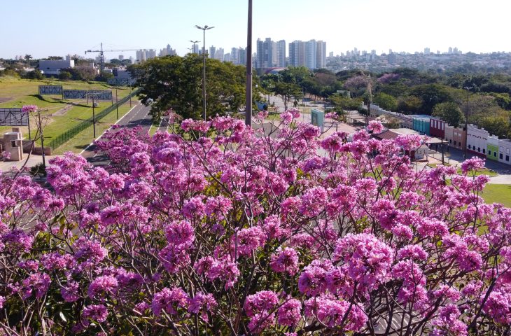 Mato Grosso do Sul lança planos estratégicos de turismo para Campo Grande dos Ipês e Vale das Águas