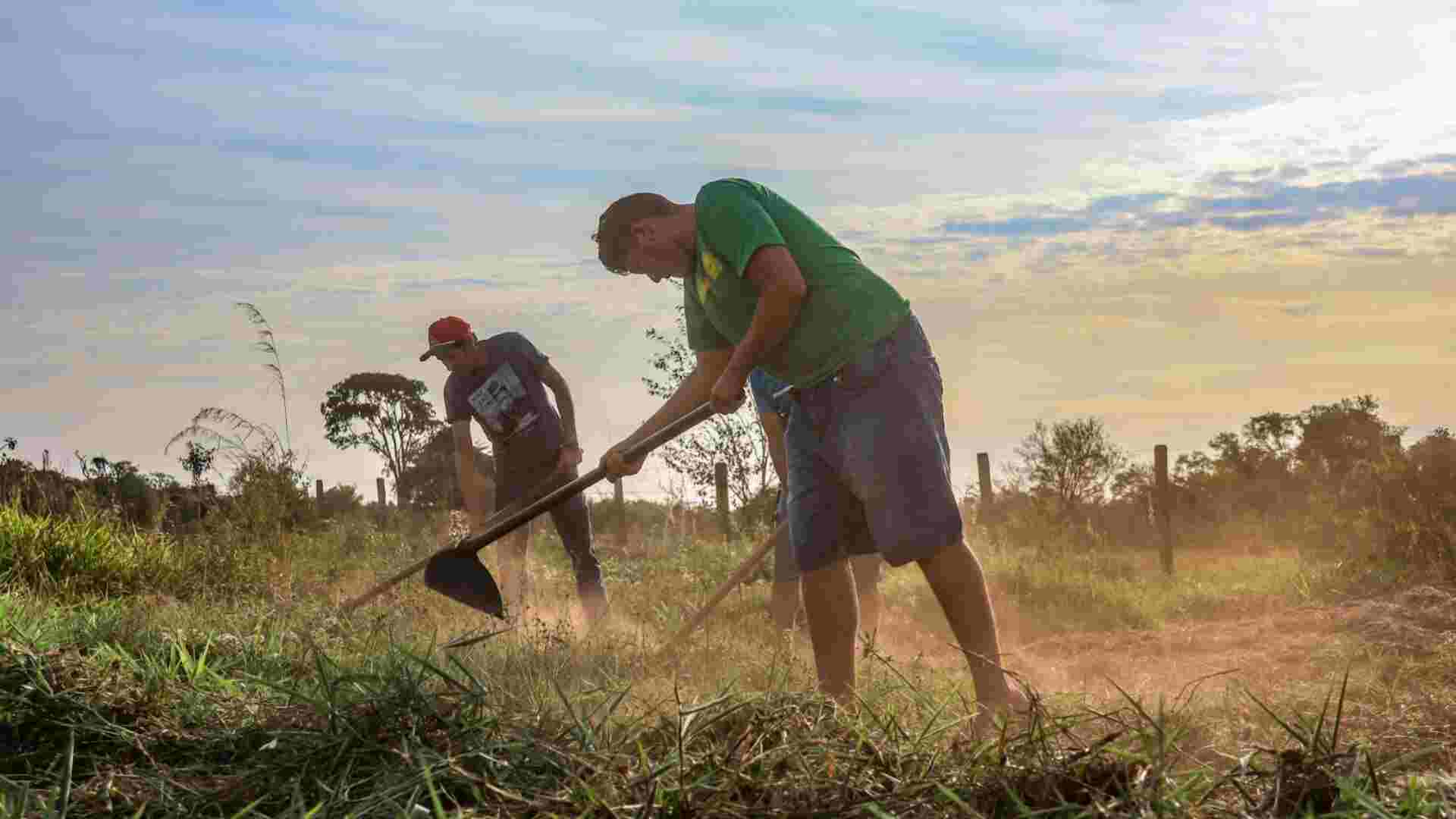 Aposentadoria rural: saiba quem tem direito e como solicitar em Mato Grosso do Sul