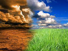 MS tem terça-feira de clima ameno e variação de temperaturas