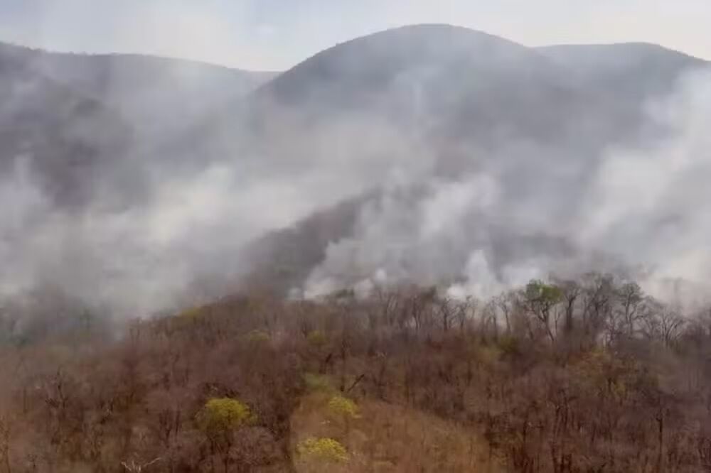 Incêndios florestais levam MS a decretar situação de emergência por 180 dias