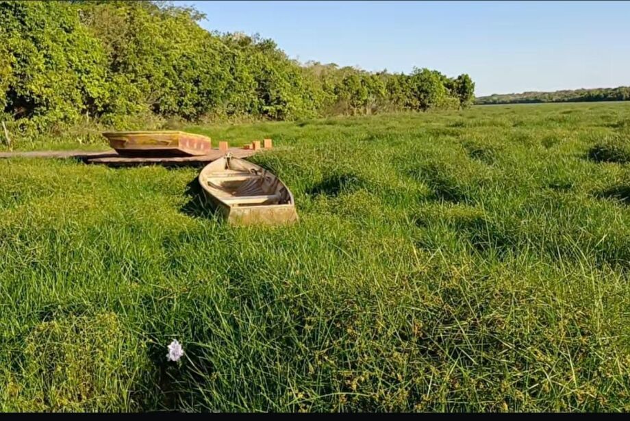 Imasul se cala e vereadora apela a Brasília para salvar lago do Mimoso