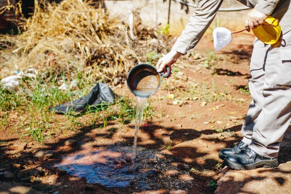 Com mais de 8 mil casos confirmados e 18 mortes, Dengue segue em alta e acende alerta em MS