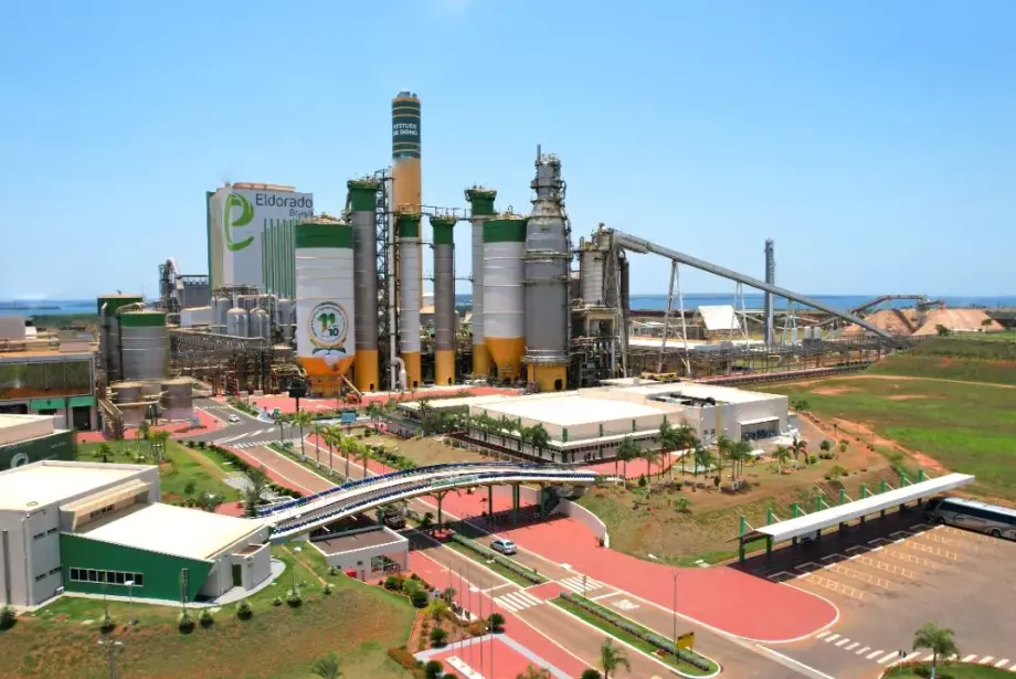Megafábrica dá primeiros passos para ampliar produção de celulose