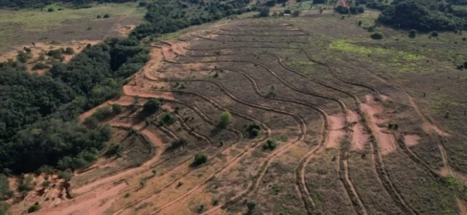 Parque Nascentes do Rio Taquari recebe mutirão para restaurar 40 hectares de Cerrado com 4 toneladas de sementes