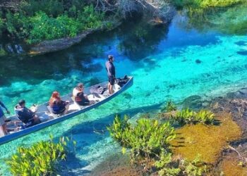 Estado se consolida como referência em turismo sustentável, promoção e inteligência de mercado