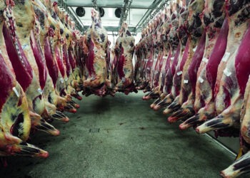 Mercado do Boi: Arroba atinge R$ 325 e pecuarista retoma controle das negociações