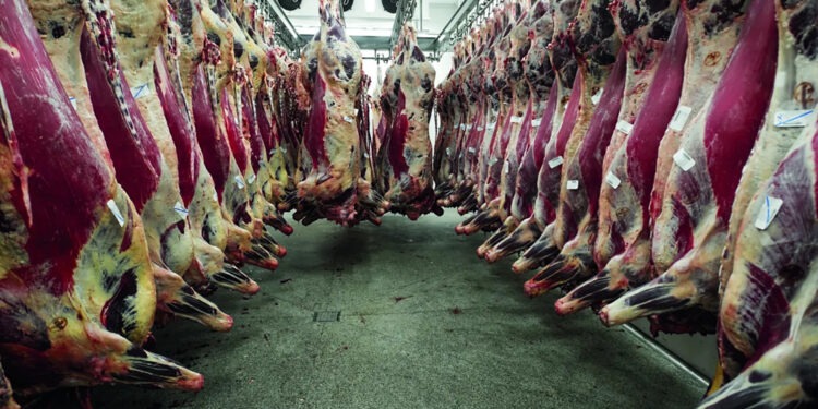 Mercado do Boi: Arroba atinge R$ 325 e pecuarista retoma controle das negociações
