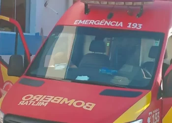 Ataque violento de Pitbull em calçada gera alerta de segurança no bairro Esplanada II