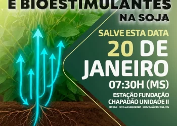 Tecnologia na Lavoura: Fundação Chapadão debate Bioestimulantes e Nutrição da Soja nesta manhã
