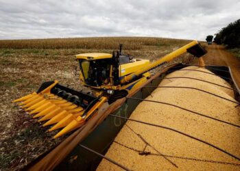 Milho na B3: Pressão da colheita e cenário externo derrubam cotações