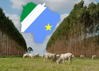 A transformação silenciosa: Por que a economia de MS cresce em ‘ritmo chinês’ e supera a média nacional?