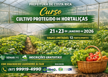 Produção o ano todo: Costa Rica abre curso gratuito de cultivo de hortaliças em estufa