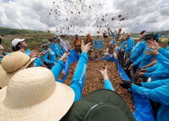 Operação Resgate: Mutirão planta 4 toneladas de sementes em Costa Rica e Alcinópolis para salvar o Rio Taquari
