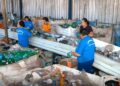 Reciclagem e Obras: Assomasul alerta prefeituras sobre prazo para captar recursos federais; adesão ainda é baixa