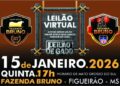 Leilão Virtual Fazenda Bruno oferta mais de mil animais durante a 1ª etapa da CNL