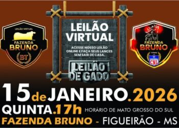 Leilão Virtual Fazenda Bruno oferta mais de mil animais durante a 1ª etapa da CNL