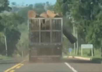 VÍDEO: Carreta percorre a BR-262 com tronco quase caindo na rodovia