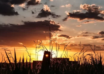 Mato Grosso do Sul registra altas temperaturas e baixa umidade nesta sexta-feira
